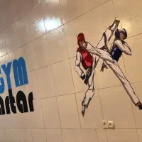 آموزش تمامی رشته های ورزشی