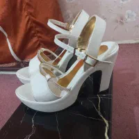 صندل|کیف، کفش، کمربند|سنندج, |دیوار