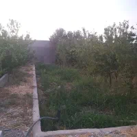 پیشوا روستای قلعه بلند ،فخر آباد
