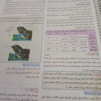 کتاب زیست|کتاب و مجله ادبی|تبریز, |دیوار