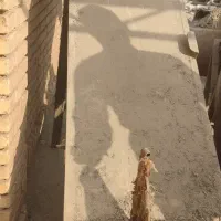 فروش تعدادی از دستگاه های خط  آسیاب شور نایلون|ماشین‌آلات صنعتی|یزد, |دیوار