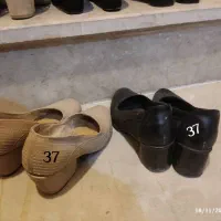 فروش کفش|کیف، کفش، کمربند|دوگنبدان, |دیوار