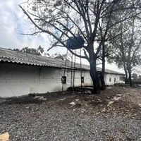 فروش مرغداری 10هزارتایی با پروانه فعال|فروش دفتر صنعتی، کشاورزی، تجاری|امامزاده عبدالله, |دیوار