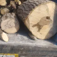 خریدار انواع،چوب با قیمت کارخانه و بالاترین قیمت