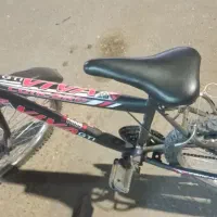 دوچرخ|دوچرخه، اسکیت، اسکوتر|تربت‌حیدریه, حسنی بالا|دیوار