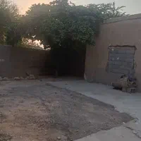 فروش خونه ویلایی|فروش خانه و ویلا|بندر دیر, |دیوار