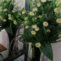 وکالت مشاوره توسط قضات با تجربه|خدمات مالی، حسابداری، بیمه|نیشابور, شهرک بسیج|دیوار