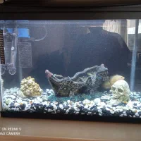 آکواریوم. با وسایل.