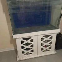 آکواریوم شیشه خم بزرگ