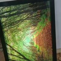 تابلو منظره روشنایی