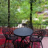 ویلااجاره لب رودخانه دردل جنگل تراس دارویوی دنج|اجارهٔ کوتاهمدت ویلا و باغ|اسالم, |دیوار