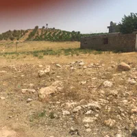 زمین ۴۰۰۰ متر مسکونی روستای ابگرم سپیدان طرح هادی|فروش زمین و ملک کلنگی|شیراز, دکتر حسابی|دیوار