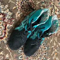 کفش حرفه ای کشتی و بدنسازی و بوکس مفت|کیف، کفش، کمربند|یاسوج, |دیوار