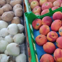 مغازه میوه و تره بار