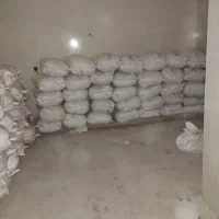 گندم تمیز