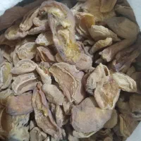 برگ زرد آلو تروتمیز شیرین خوشمزه|عمدهفروشی|باغ حلی, |دیوار