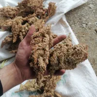 خریدار سماق