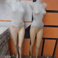 دو عدد مانکن سالم