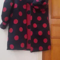 پالتو شیک و تینیجری