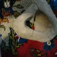 سنگ