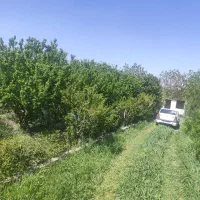 باغ-زراعی-جهت-سرمایه-گزاری