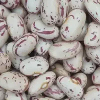 کالابرگ حبوبات لوبیا عدس برنج چای شکرروغن زیرقیمت