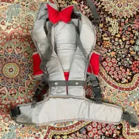 آغوشی|کالسکه و لوازم جانبی|شیراز, میانرود|دیوار