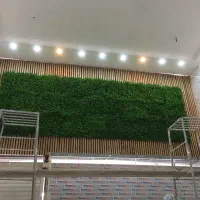 مجری تخصصی کناف رنگ امیزی وصفرتاصددکوراسیون داخلی|خدمات پیشه و مهارت|بوشهر, |دیوار