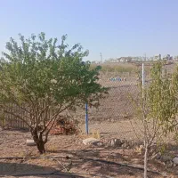 فروش باغ ۲۰۰۰ متری کورانه سند تک برگ|فروش زمین و ملک کلنگی|قزوین, |دیوار