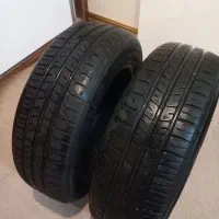 لاستیک رینگ ۱۵