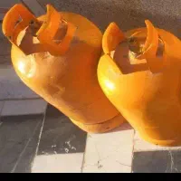 کپسول زردپر