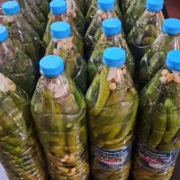 خیارشور خانگی