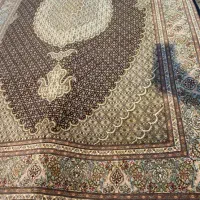 جفت ۶ متری ماهی تبریز ۵۰ رج شمار