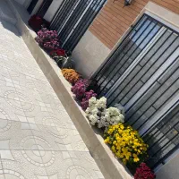 فروش-باغ-در-بوسف-آباد-به-طرف-خبر-میجد