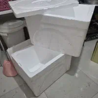 ۸عدد یونولیت