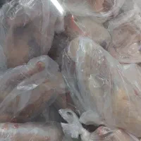 اردک و خروس و مرغ|خوردنی و آشامیدنی|چوبر, |دیوار