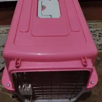 باکس گربه