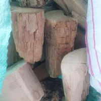 فروش هیزم هیمه چوب خشک در گونی های آماده|عمدهفروشی|شیراز, صاحب الزمان|دیوار