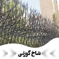 تولیدکننده نرده حفاظ،شاخ گوزنی،لیلیوم،آبشاری حفاظا