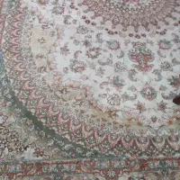 فرش ۱۲ متری|فرش|همدان, |دیوار