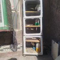 جفتگاه|لوازم جانبی حیوانات|کرمان, |دیوار
