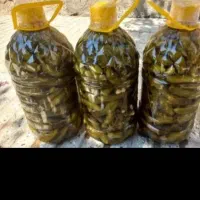 خیارشور خوشمزه