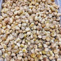 انجیر خشک|خوردنی و آشامیدنی|مشهد, امیریه|دیوار