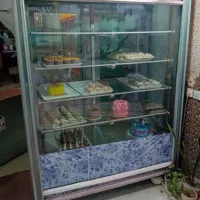 یخچال ویترینی ایستاده|یخچال و فریزر|سامن, |دیوار