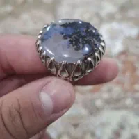 شجر قاعان اصل