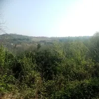 زمین باغی ۱۵۰۰ متر سود حال  آینده  برق گاز سر زمین|فروش زمین و ملک کلنگی|آلاشت, |دیوار