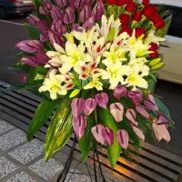 جام گل / دسته گل