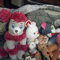 تعداد خیلی زیاد عروسک|اسباببازی بچه|مشهد, یوسفیه (شهرک غرب)|دیوار