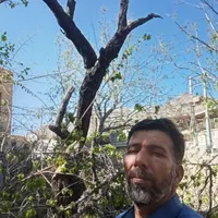 *********** در