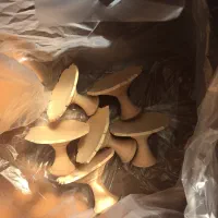 سفال هفت سین|صنایع دستی و سایر لوازم تزئینی|کرج, گلستان|دیوار